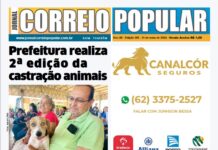 356 Edição Impressa – 31 de Maio 2024