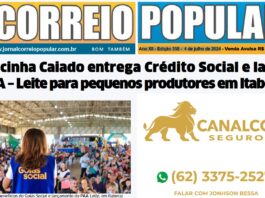 no XII - Edição 358 - 4 de julho de 2024