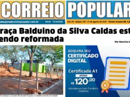 Ano XII - Edição 359 - 31 de agosto de 2024