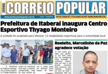 361 Edição Impressa – 31 de Outubro 2024