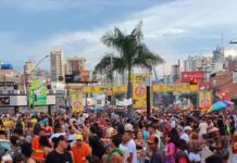 Vai pular Carnaval? Crer dá dicas para aproveitar a folia sem lesões