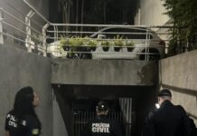 Polícia prende em SP investigados por crimes cometidos em Goiás