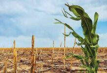 Começa o período de estiagem em Goiás