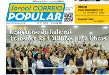 374 Edição Impressa – Novembro 2025